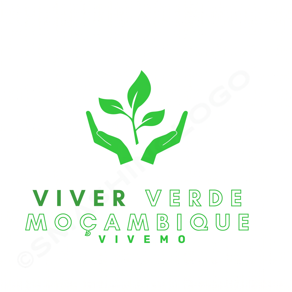 VIVEMO